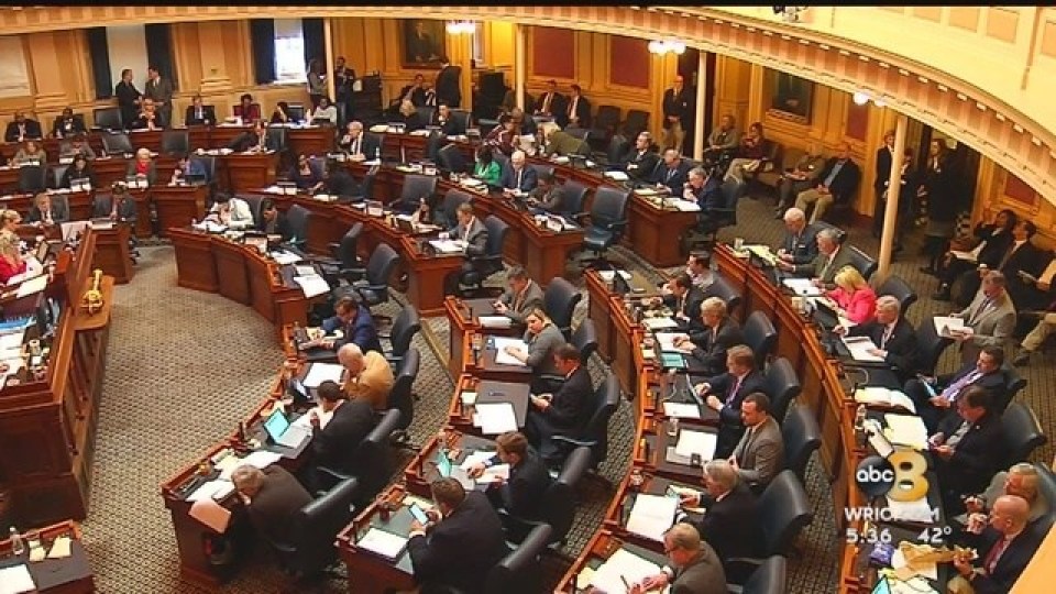 The Constitution of Virginia empowers the legislative brach to enact laws, approve the budget and confirm the govenor's appointments.