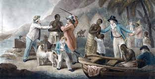Pilgrim and Slave American History
